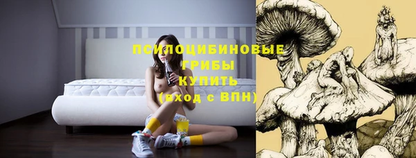 spice Алзамай