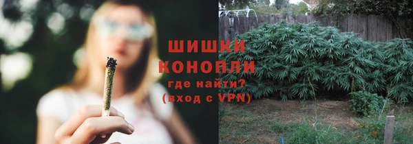 шишки Алексеевка