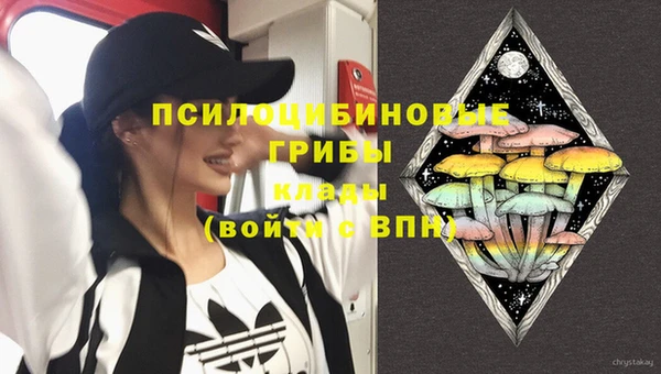 мдпв Алексин